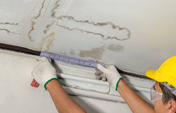 Reliable Water Damage Repair contractor in Nallen, WV by Hirex Water Damage
